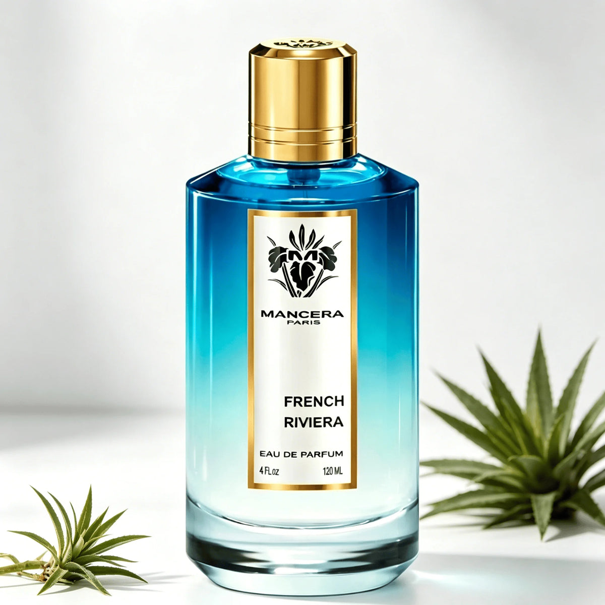 Ajmal Evoke Eau de Parfum Hombre 90ml – Fragancia Fresca Aromática Masculina Larga Duración