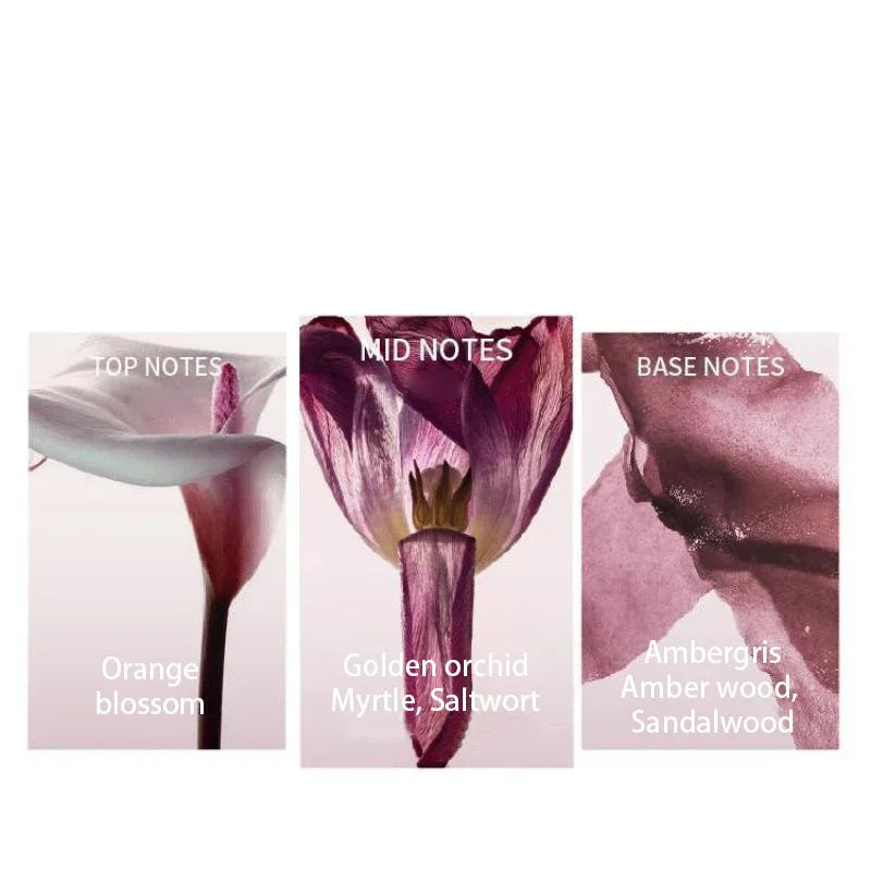 Women's Floral Aquatic Light Perfume Spring 100ml – Fresh Daily Long-Lasting